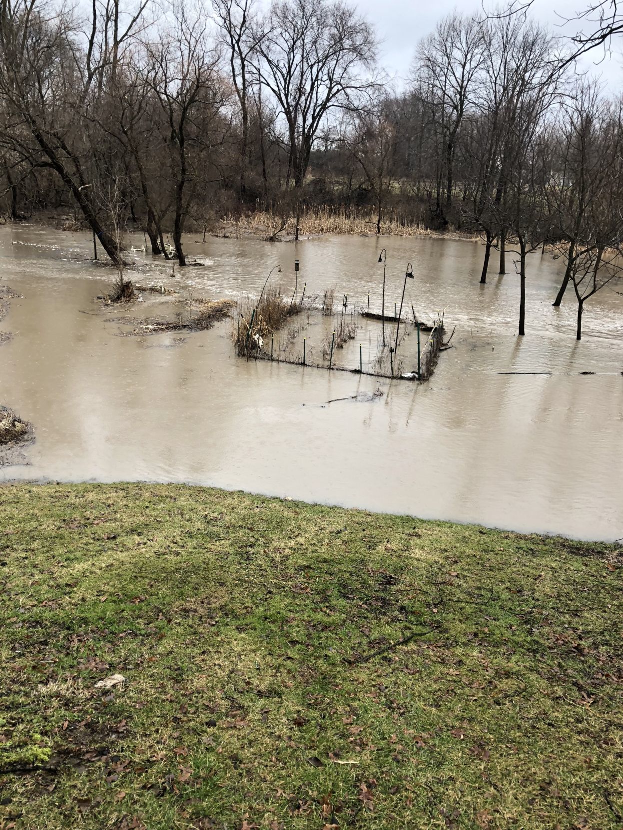 Flood